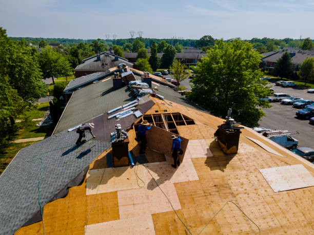 Trusted Roof Replacement service in Woodlawn, VA - Brentwood Metal Roofing